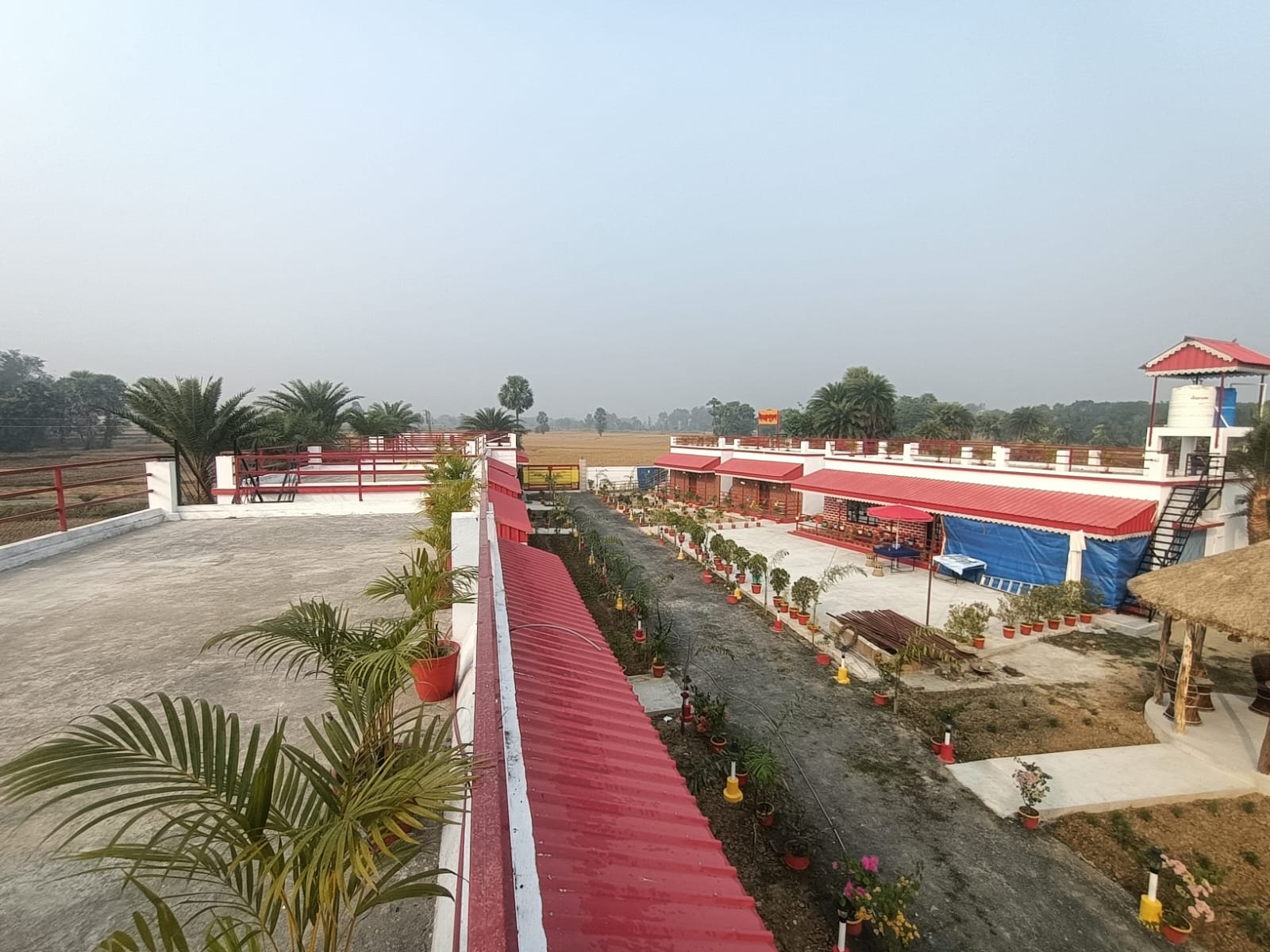 Aerial view of cottages and trees