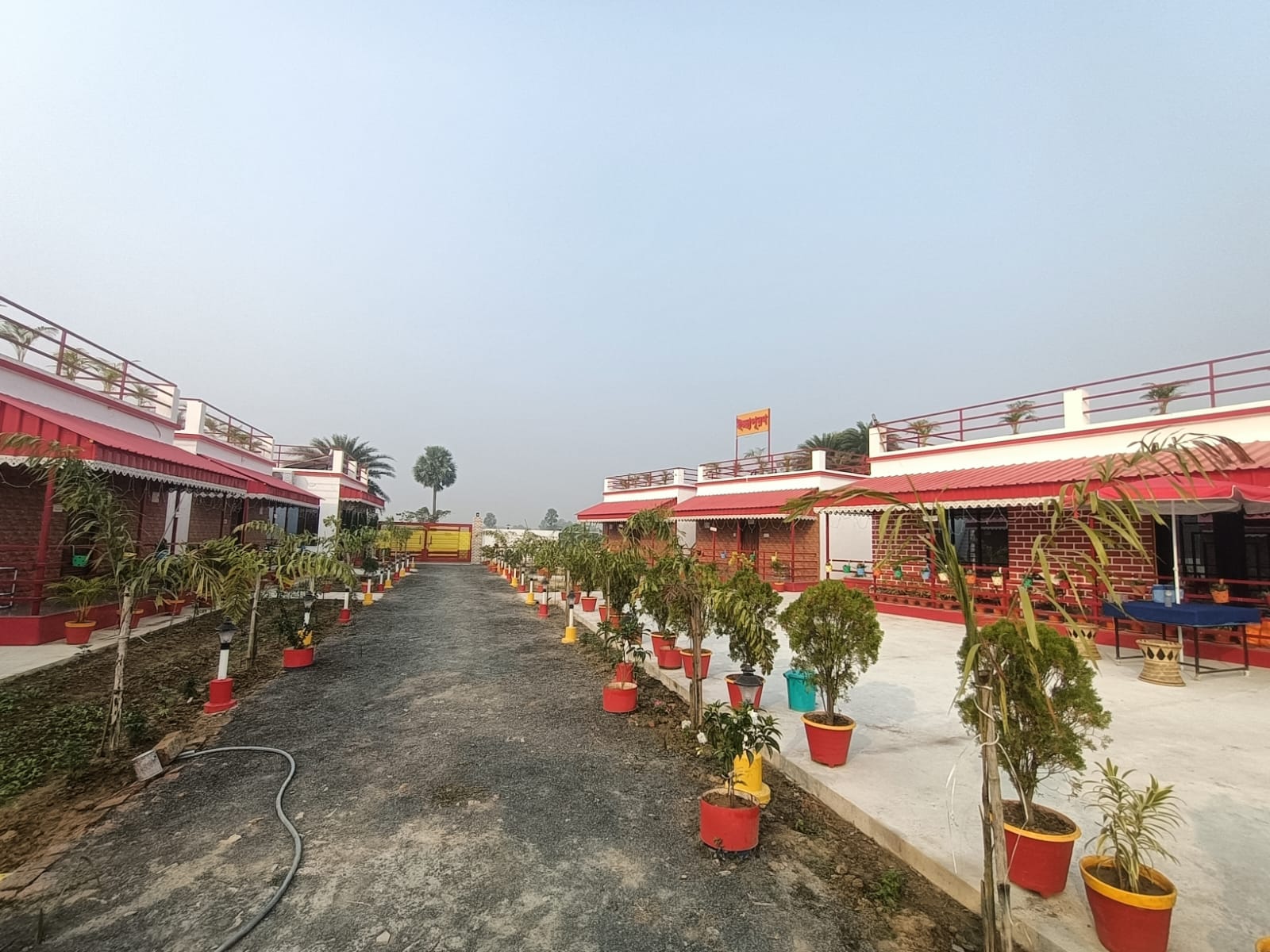 Courtyard seating with greenery