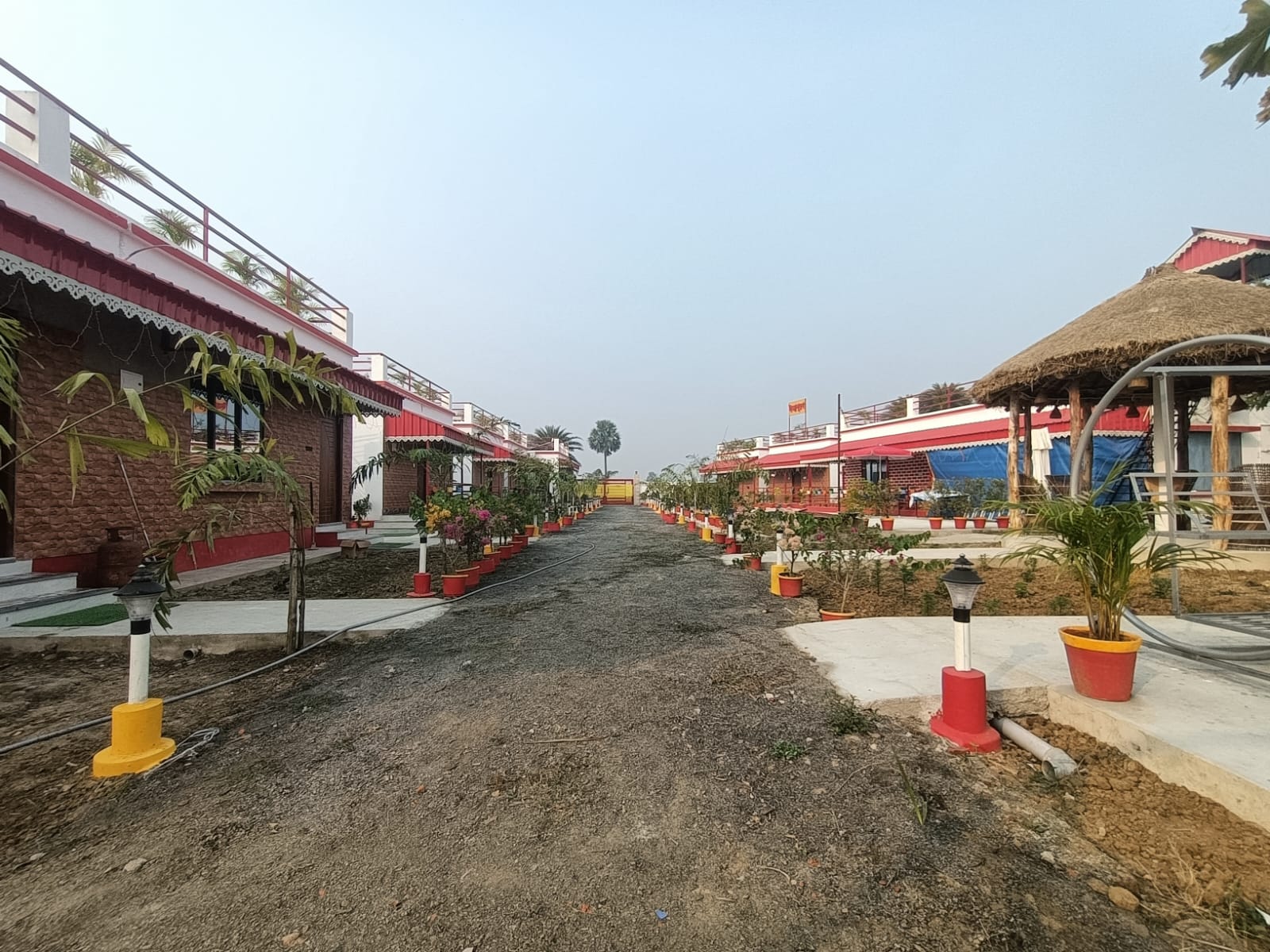 Courtyard with greenery