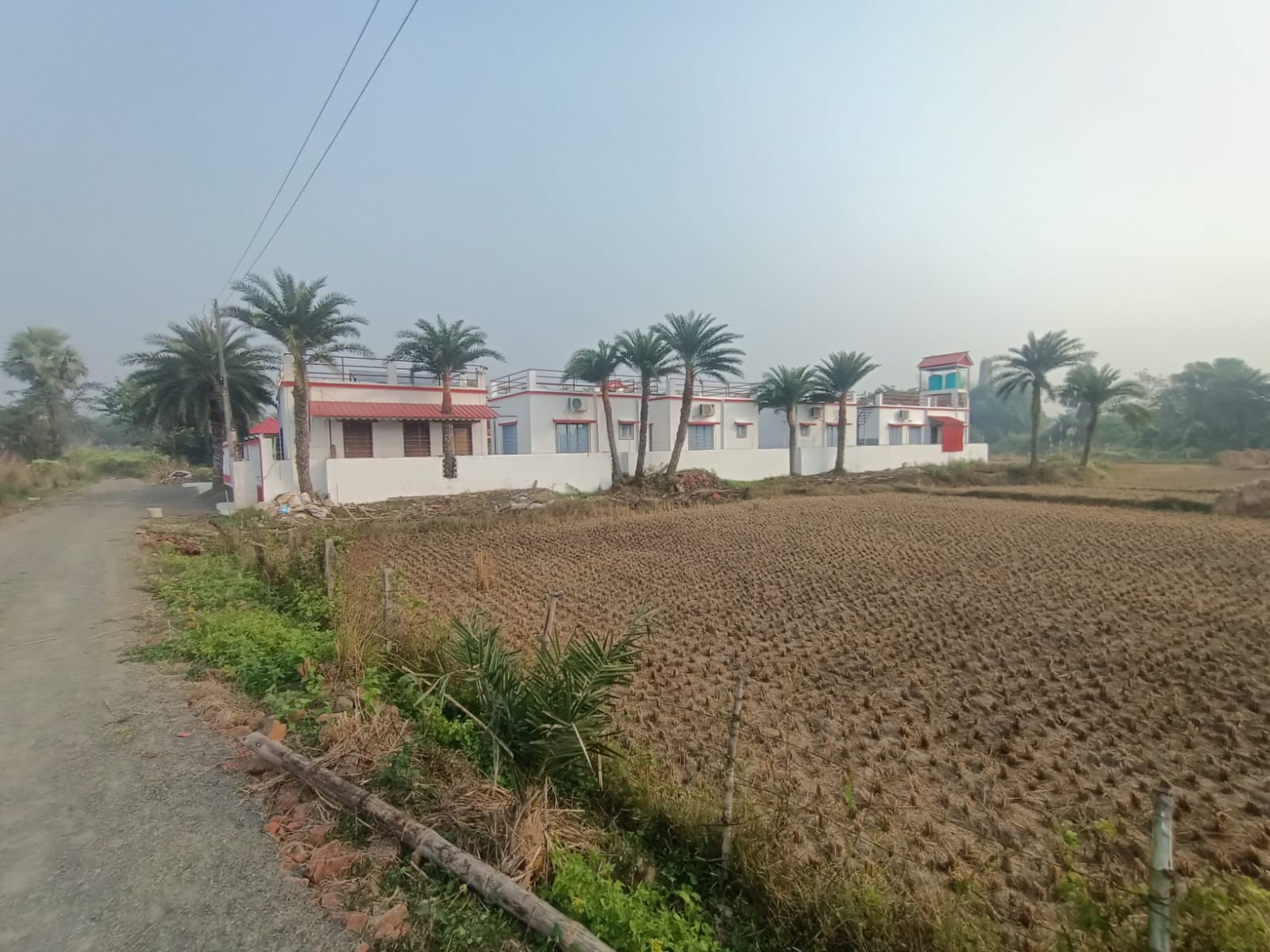 Homestay exterior with trees