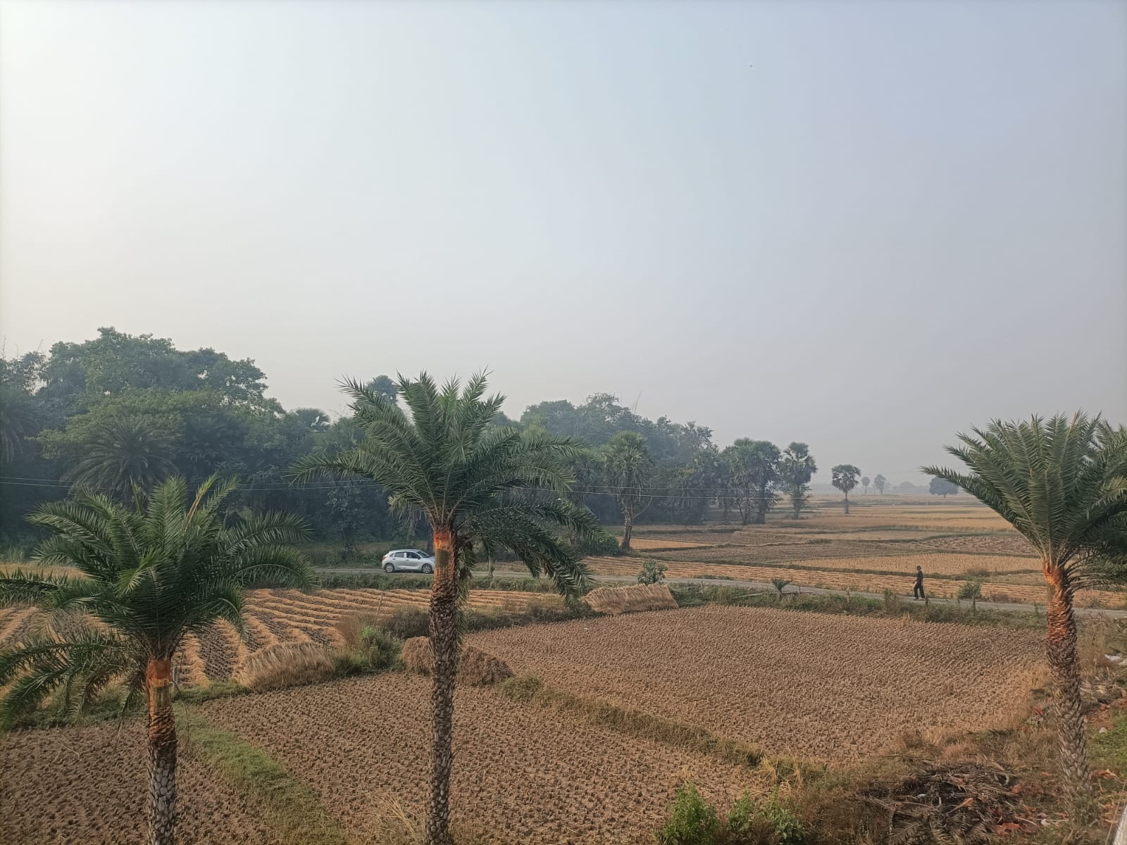 Open fields near Icchhapuron