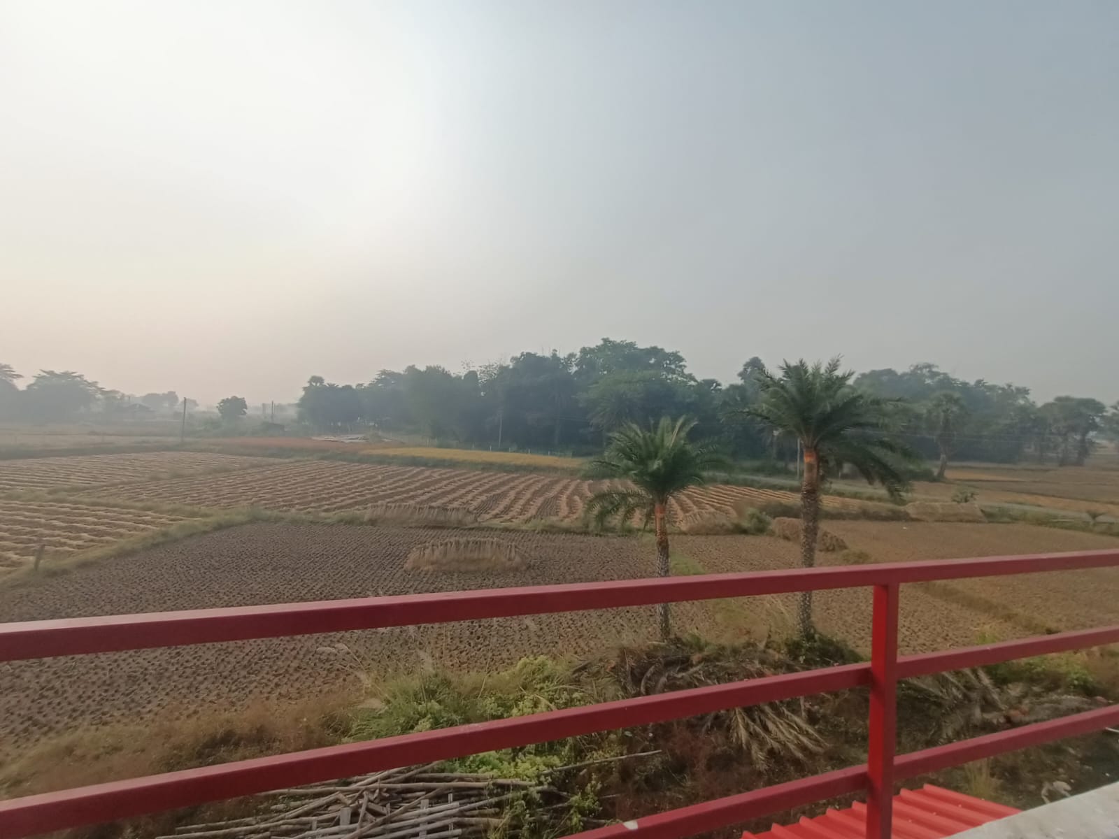 Rooftop view over fields